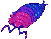 isopod8